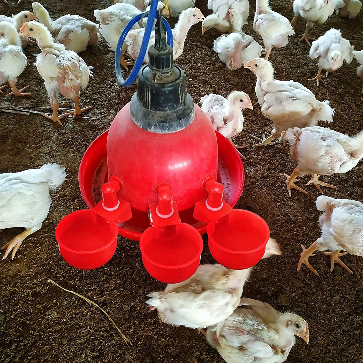 Automatic Chicken Water Cups - Poultry Drinking And Watering Cups, Duck Water Dispenser - Image 8