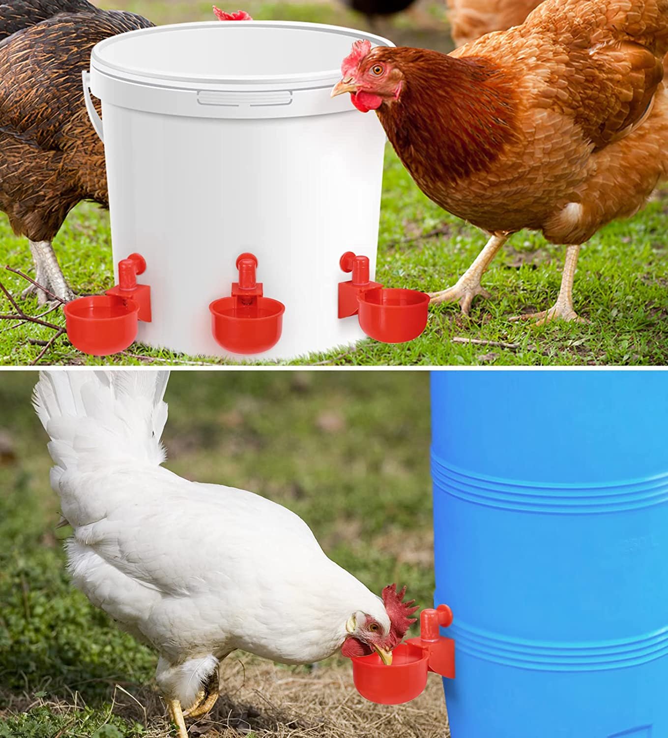 Automatic Chicken Water Cups - Poultry Drinking And Watering Cups, Duck Water Dispenser - Image 10