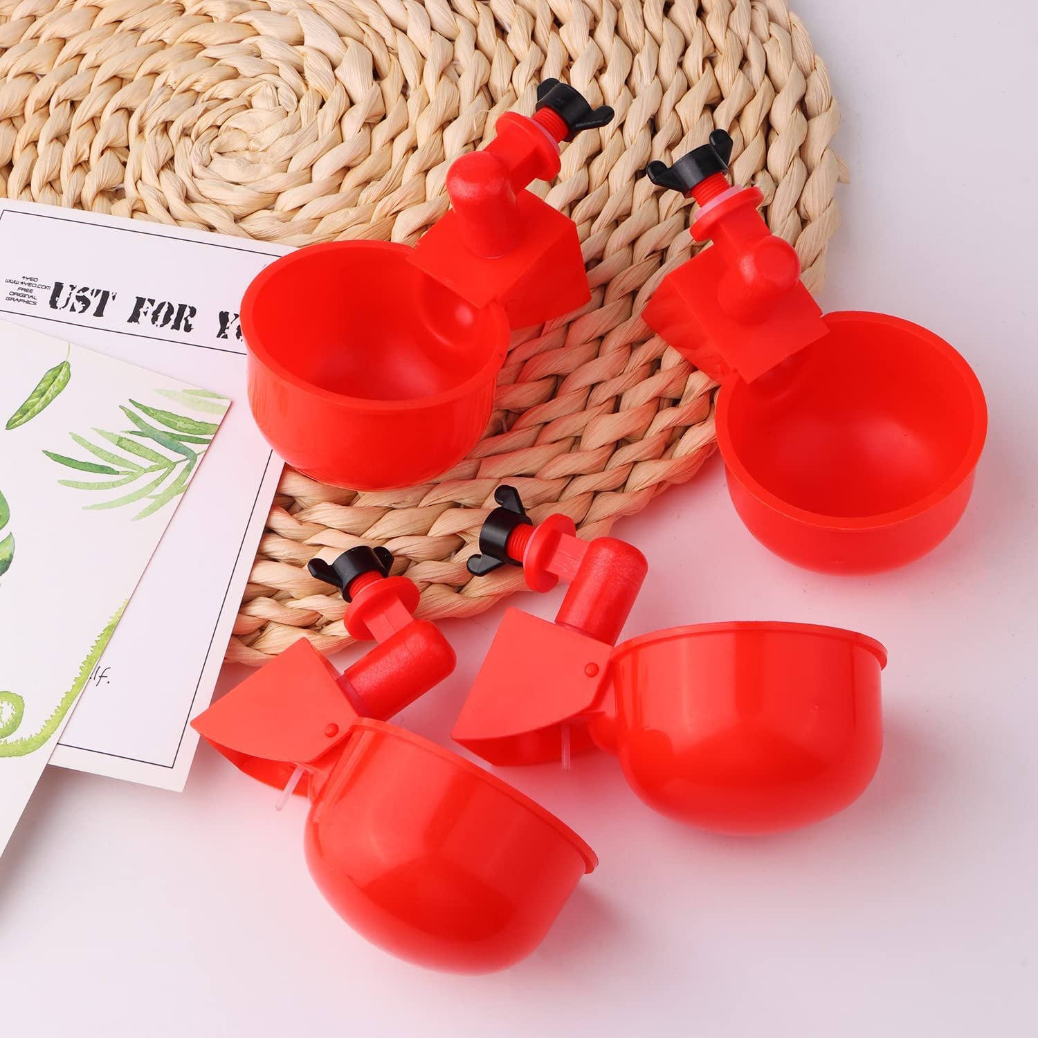 Automatic Chicken Water Cups - Poultry Drinking And Watering Cups, Duck Water Dispenser - Image 11