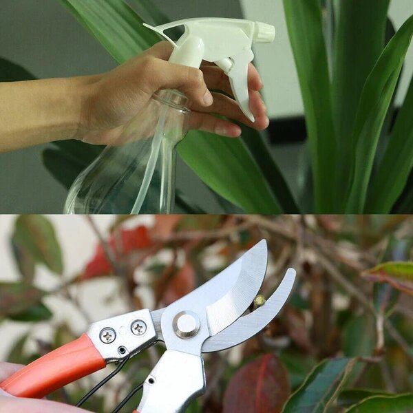 9 Pieces Garden Tool Set Gardening Tools Gift Kit Non-slip Handle with case - Image 3