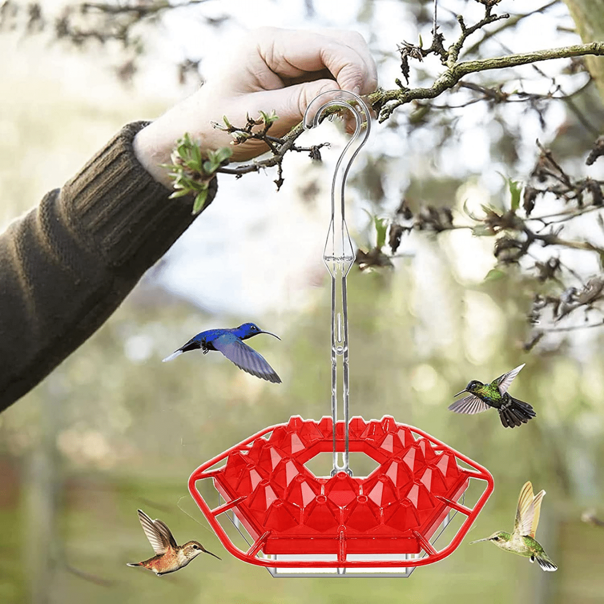(🎉Flash Sale🎉- 45% OFF) Sweety Hummingbird Feeder - Image 5