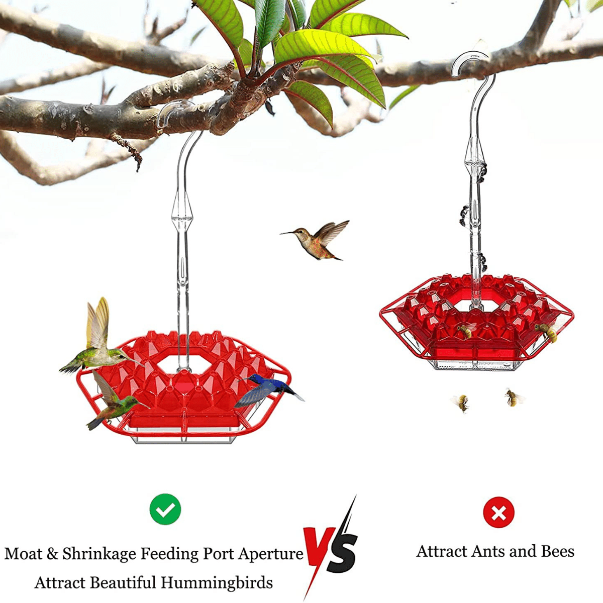 (🎉Flash Sale🎉- 45% OFF) Sweety Hummingbird Feeder - Image 6